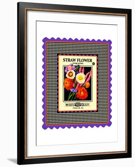 Strawflower Seed Pack-null-Framed Giclee Print