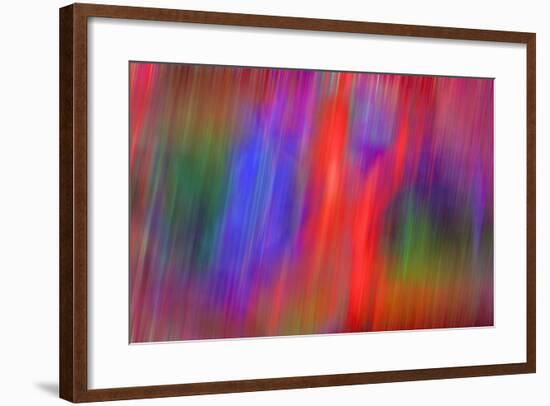 Streaking-Adrian Campfield-Framed Photographic Print