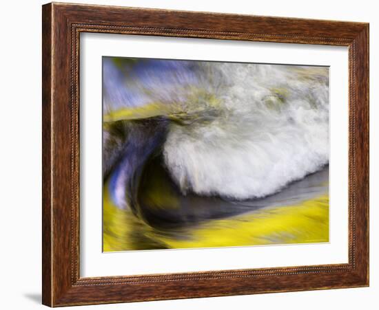 Stream Abstract with Reflections of Spring, Great Smoky Mountain National Park, Tennessee, USA-null-Framed Photographic Print