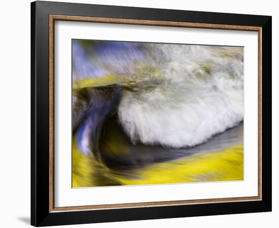 Stream Abstract with Reflections of Spring, Great Smoky Mountain National Park, Tennessee, USA-null-Framed Photographic Print