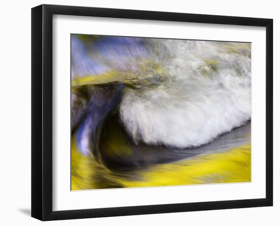 Stream Abstract with Reflections of Spring, Great Smoky Mountain National Park, Tennessee, USA-null-Framed Photographic Print