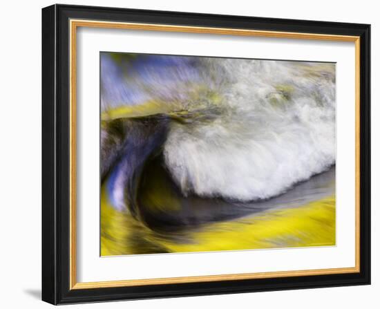 Stream Abstract with Reflections of Spring, Great Smoky Mountain National Park, Tennessee, USA-null-Framed Photographic Print