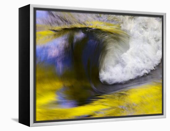 Stream Abstract with Reflections of Spring, Great Smoky Mountain National Park, Tennessee, USA-null-Framed Premier Image Canvas