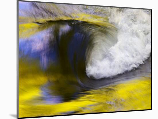 Stream Abstract with Reflections of Spring, Great Smoky Mountain National Park, Tennessee, USA-null-Mounted Photographic Print