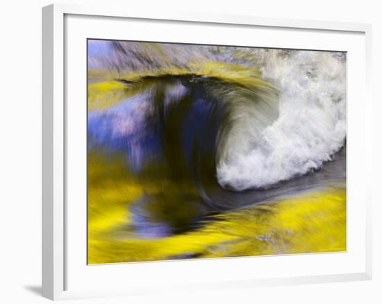 Stream Abstract with Reflections of Spring, Great Smoky Mountain National Park, Tennessee, USA-null-Framed Photographic Print