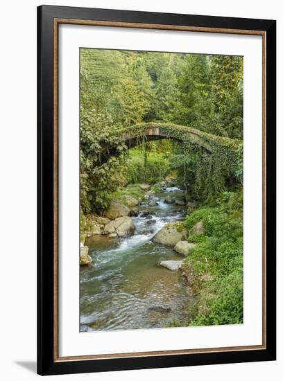 Stream and Bridge, Rize, Black Sea Region of Turkey-Ali Kabas-Framed Photographic Print