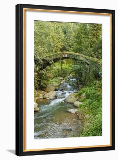 Stream and Bridge, Rize, Black Sea Region of Turkey-Ali Kabas-Framed Photographic Print