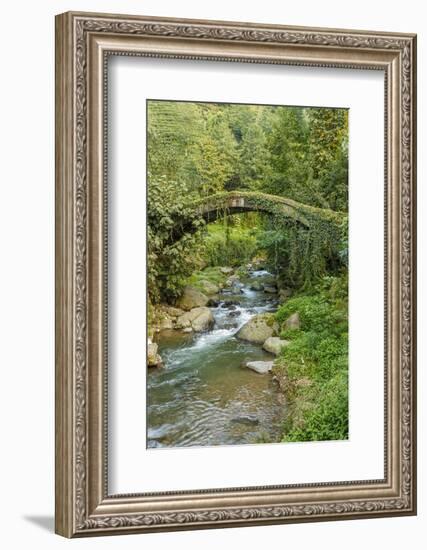 Stream and Bridge, Rize, Black Sea Region of Turkey-Ali Kabas-Framed Photographic Print