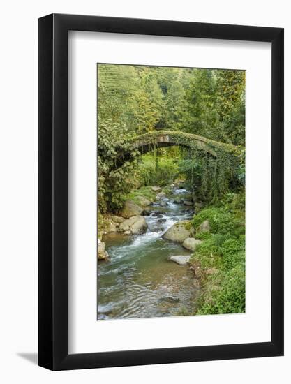 Stream and Bridge, Rize, Black Sea Region of Turkey-Ali Kabas-Framed Photographic Print