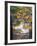 Stream and Fall Foliage, New Hampshire, USA-Nancy Rotenberg-Framed Photographic Print