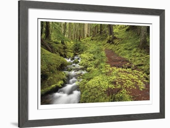 Stream And Forest Path-Donald Paulson-Framed Giclee Print