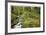 Stream And Forest Path-Donald Paulson-Framed Giclee Print