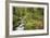 Stream And Forest Path-Donald Paulson-Framed Giclee Print