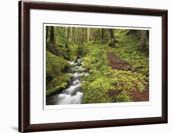 Stream And Forest Path-Donald Paulson-Framed Giclee Print