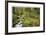 Stream And Forest Path-Donald Paulson-Framed Giclee Print