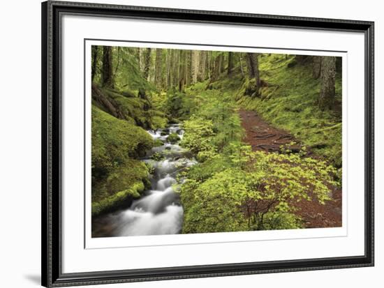 Stream And Forest Path-Donald Paulson-Framed Giclee Print