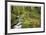 Stream And Forest Path-Donald Paulson-Framed Giclee Print