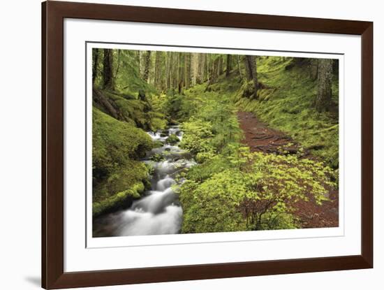 Stream And Forest Path-Donald Paulson-Framed Giclee Print