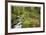 Stream And Forest Path-Donald Paulson-Framed Giclee Print