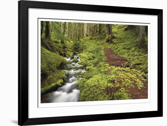 Stream And Forest Path-Donald Paulson-Framed Giclee Print