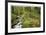Stream And Forest Path-Donald Paulson-Framed Giclee Print