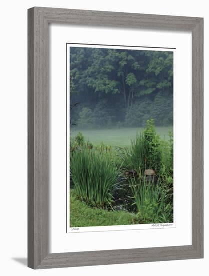 Stream and Mist-Stacy Bass-Framed Giclee Print