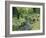 Stream And Woodland In Devon-Adrian Bicker-Framed Photographic Print