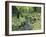 Stream And Woodland In Devon-Adrian Bicker-Framed Photographic Print