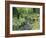 Stream And Woodland In Devon-Adrian Bicker-Framed Photographic Print