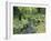 Stream And Woodland In Devon-Adrian Bicker-Framed Photographic Print