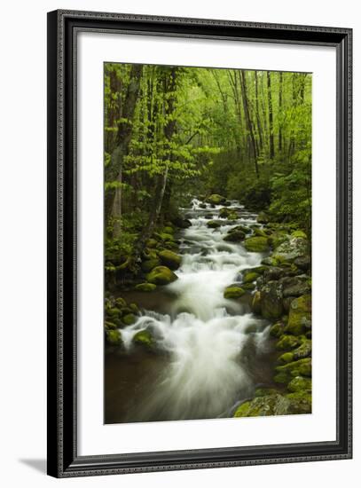 Stream at Roaring Fork Trail in the Smokies, Great Smoky Mountains National Park, Tennessee, USA-Joanne Wells-Framed Photographic Print