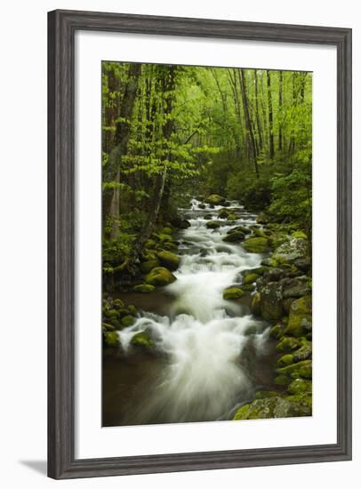 Stream at Roaring Fork Trail in the Smokies, Great Smoky Mountains National Park, Tennessee, USA-Joanne Wells-Framed Photographic Print