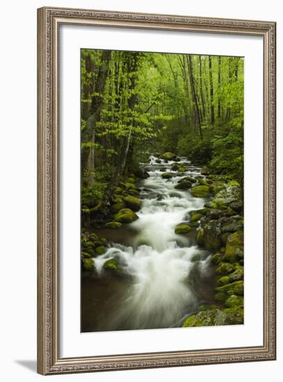 Stream at Roaring Fork Trail in the Smokies, Great Smoky Mountains National Park, Tennessee, USA-Joanne Wells-Framed Photographic Print