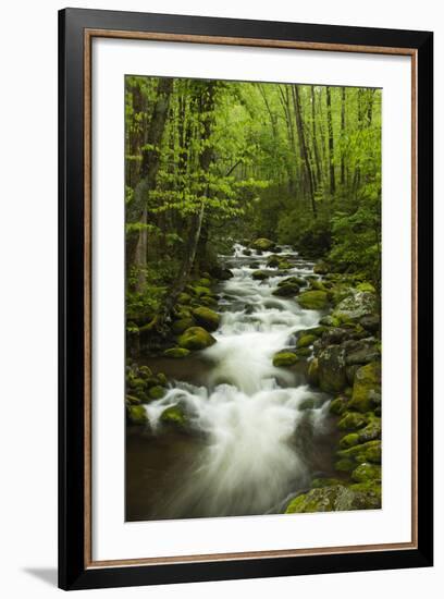 Stream at Roaring Fork Trail in the Smokies, Great Smoky Mountains National Park, Tennessee, USA-Joanne Wells-Framed Photographic Print