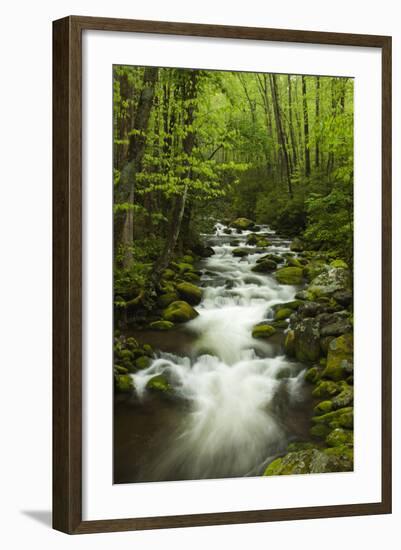 Stream at Roaring Fork Trail in the Smokies, Great Smoky Mountains National Park, Tennessee, USA-Joanne Wells-Framed Photographic Print