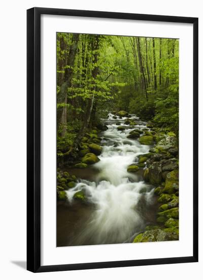 Stream at Roaring Fork Trail in the Smokies, Great Smoky Mountains National Park, Tennessee, USA-Joanne Wells-Framed Photographic Print