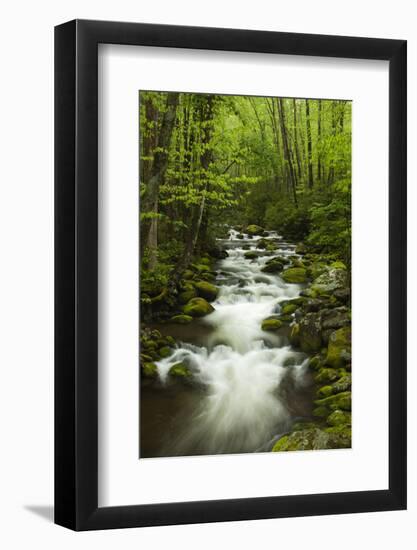 Stream at Roaring Fork Trail in the Smokies, Great Smoky Mountains National Park, Tennessee, USA-Joanne Wells-Framed Photographic Print