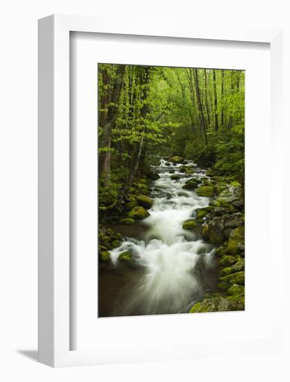 Stream at Roaring Fork Trail in the Smokies, Great Smoky Mountains National Park, Tennessee, USA-Joanne Wells-Framed Photographic Print