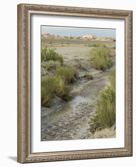 Stream Bed in the Bisti Wilderness, an Arid Area Near the Four Corners, New Mexico-null-Framed Photographic Print