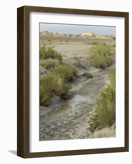 Stream Bed in the Bisti Wilderness, an Arid Area Near the Four Corners, New Mexico-null-Framed Photographic Print