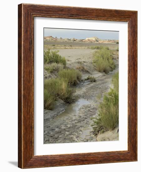 Stream Bed in the Bisti Wilderness, an Arid Area Near the Four Corners, New Mexico-null-Framed Photographic Print