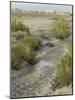 Stream Bed in the Bisti Wilderness, an Arid Area Near the Four Corners, New Mexico-null-Mounted Photographic Print