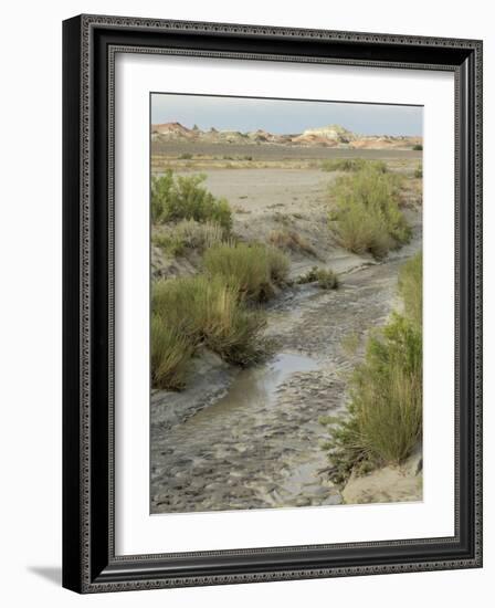 Stream Bed in the Bisti Wilderness, an Arid Area Near the Four Corners, New Mexico-null-Framed Photographic Print