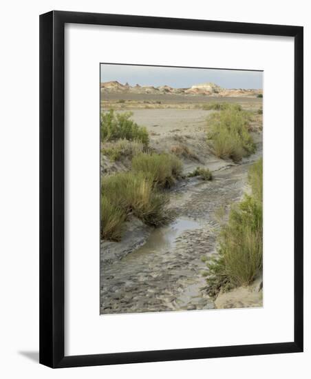 Stream Bed in the Bisti Wilderness, an Arid Area Near the Four Corners, New Mexico-null-Framed Photographic Print