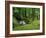 Stream Cascades over Rocks in Woods at Delphi, County Mayo, Connacht, Eire, Europe-Rainford Roy-Framed Photographic Print