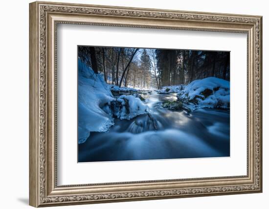 Stream Course in the Winter Wood, Triebtal, Vogtland, Saxony, Germany-Falk Hermann-Framed Photographic Print