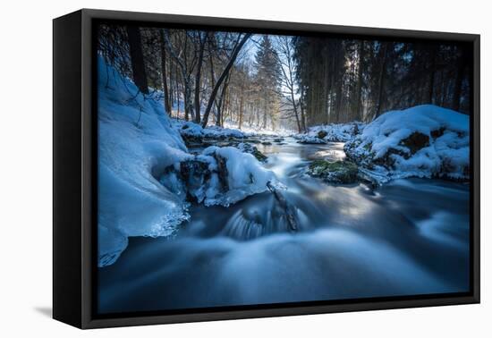 Stream Course in the Winter Wood, Triebtal, Vogtland, Saxony, Germany-Falk Hermann-Framed Premier Image Canvas