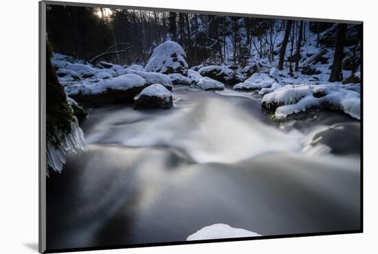 Stream Course in the Winter Wood, Triebtal, Vogtland, Saxony, Germany-Falk Hermann-Mounted Photographic Print