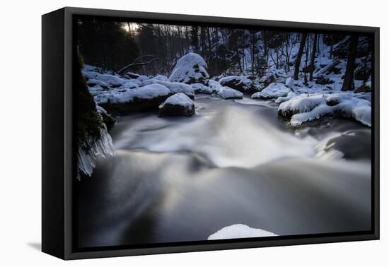 Stream Course in the Winter Wood, Triebtal, Vogtland, Saxony, Germany-Falk Hermann-Framed Premier Image Canvas