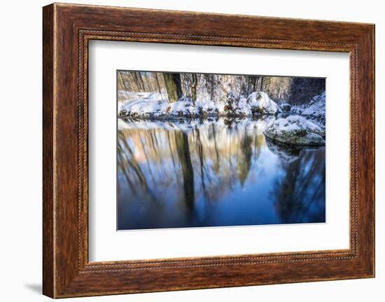 Stream Course in the Winter Wood, Triebtal, Vogtland, Saxony, Germany-Falk Hermann-Framed Photographic Print